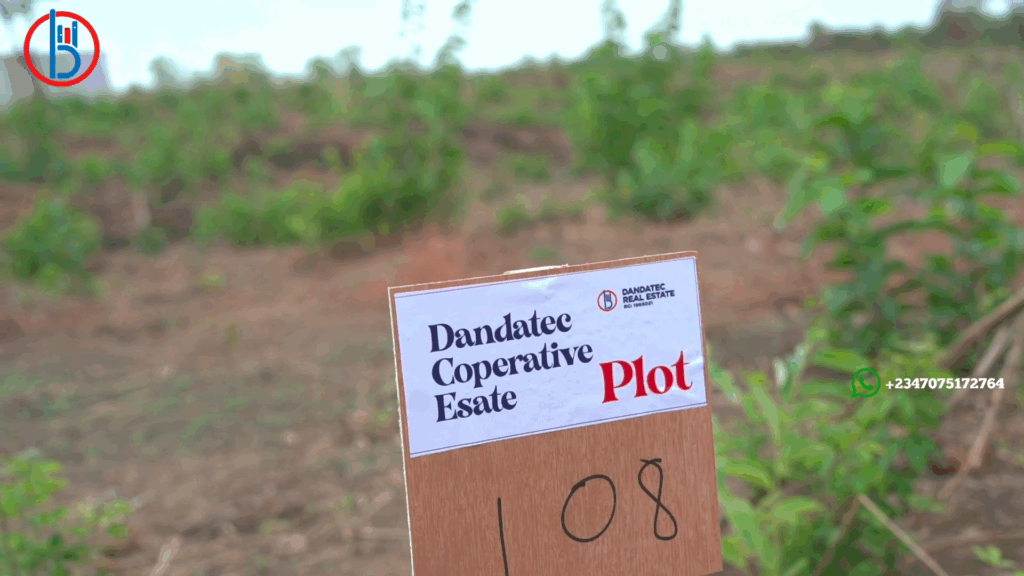 Dandatec cooperative city plot picture